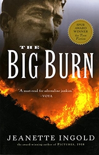 THE BIG BURN