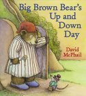 cover image BIG BROWN BEAR'S UP AND DOWN DAY
