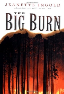 THE BIG BURN