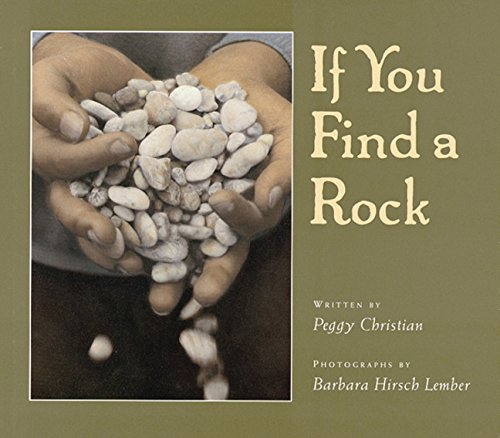 cover image If You Find a Rock
