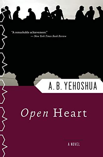 cover image Open Heart