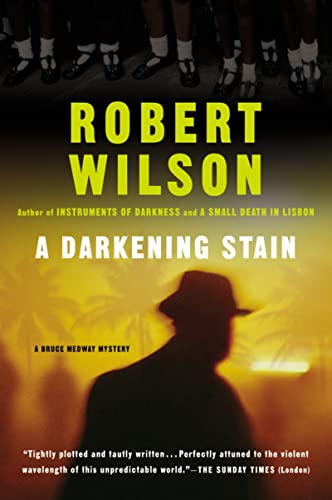 cover image A DARKENING STAIN: A Bruce Medway Mystery