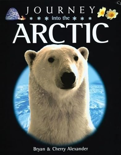 cover image Journey Into the Arctic