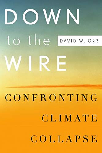 cover image Down to the Wire: Confronting Climate Collapse