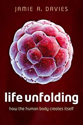 cover image Life Unfolding: How the Human Body Creates Itself