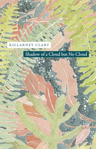 cover image Shadow of a Cloud but No Cloud