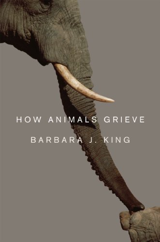 cover image How Animals Grieve