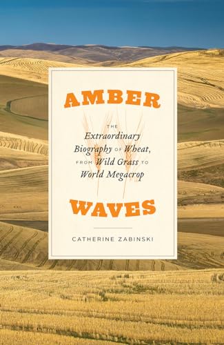 cover image Amber Waves: The Extraordinary Biography of Wheat, from Wild Grasses to World Megacrop