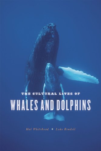 cover image The Cultural Lives of Whales and Dolphins