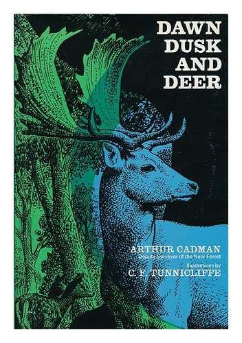 cover image Ripley Bogle