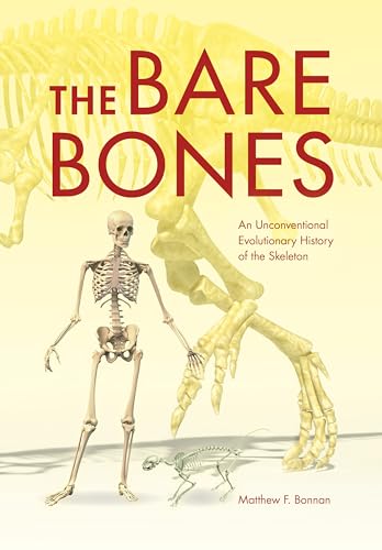 cover image The Bare Bones: An Unconventional Evolutionary History of the Skeleton