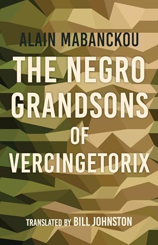 cover image The Negro Grandsons of Vercingetorix