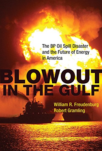 cover image Blowout in the Gulf: The BP Oil Spill Disaster and the Future of Energy in America