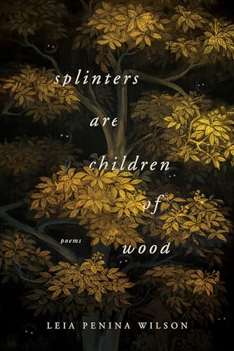 cover image Splinters Are Children of Wood