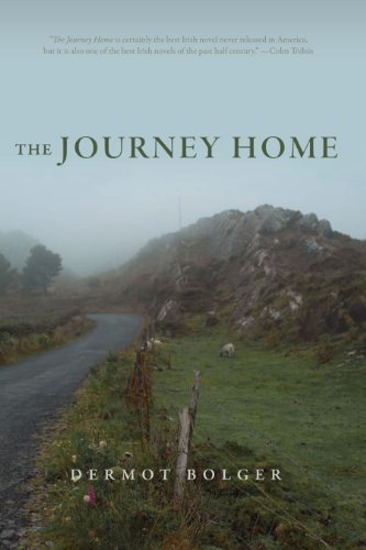 cover image The Journey Home