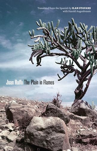 cover image The Plain in Flames
