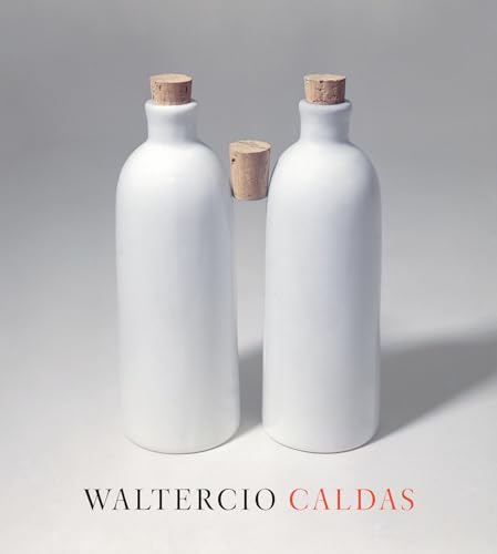 cover image Waltercio Caldas
