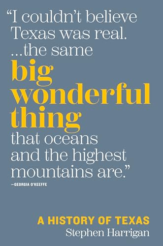 cover image Big Wonderful Thing: A History of Texas