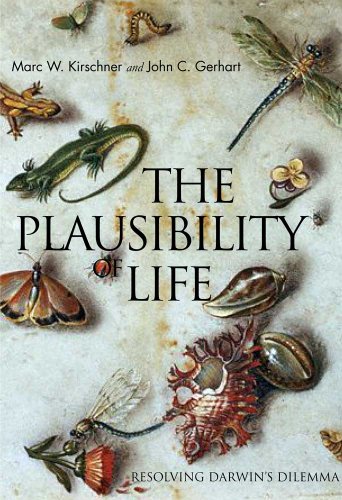cover image The Plausibility of Life: Resolving Darwin's Dilemma