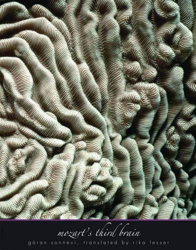 cover image Mozart's Third Brain