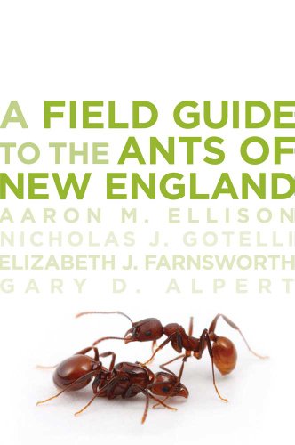 cover image A Field Guide to the Ants of New England