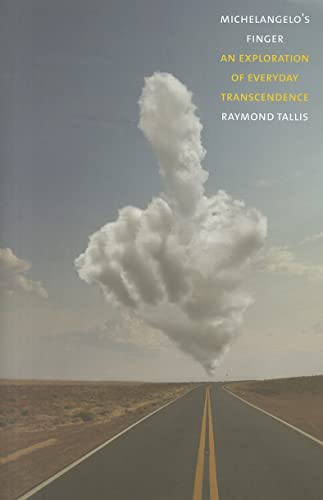 cover image Michelangelo's Finger: An Exploration of Everyday Transcendence