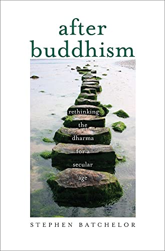 cover image After Buddhism: Rethinking the Dharma for a Secular Age