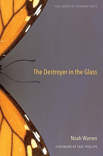 cover image The Destroyer in the Glass
