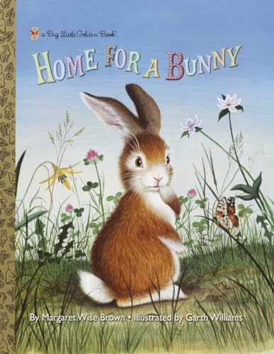 cover image Home for a Bunny