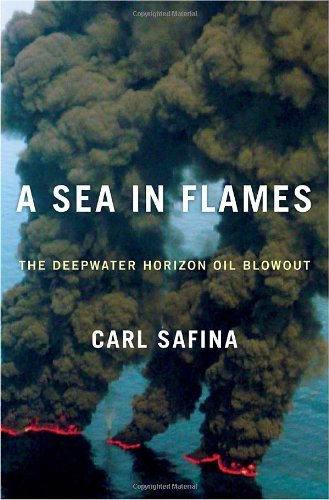 cover image A Sea in Flames: The Deepwater Horizon Oil Blowout