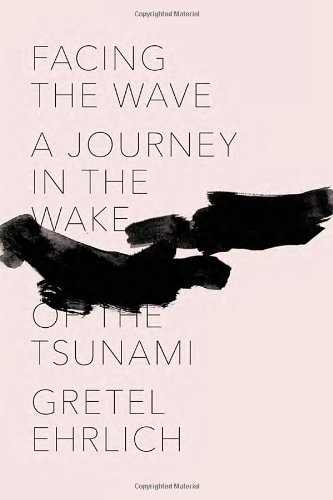 cover image Facing the Wave: A Journey in the Wake of the Tsunami