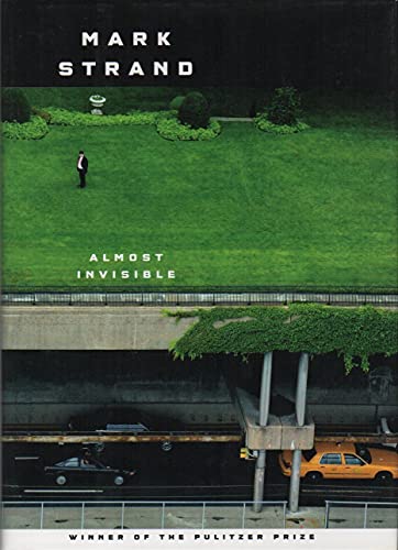 cover image Almost Invisible