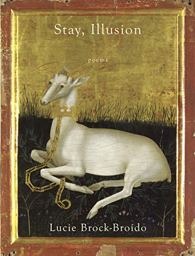 cover image Stay, Illusion