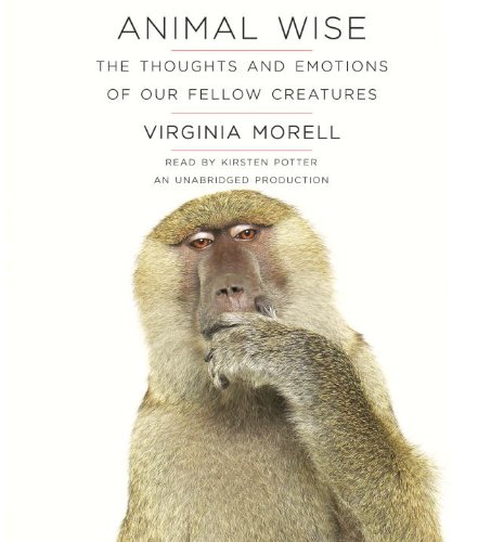 cover image Animal Wise: The Thoughts and Emotions of Our Fellow Creatures