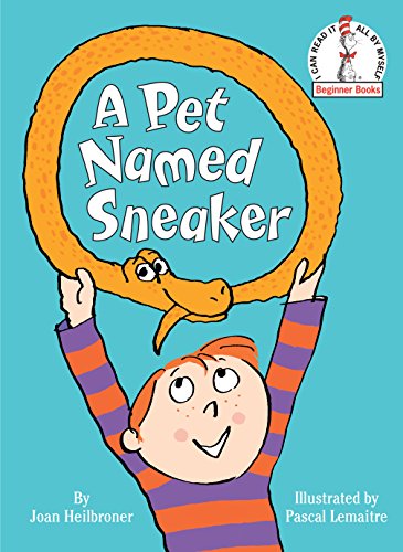 cover image A Pet Named Sneaker