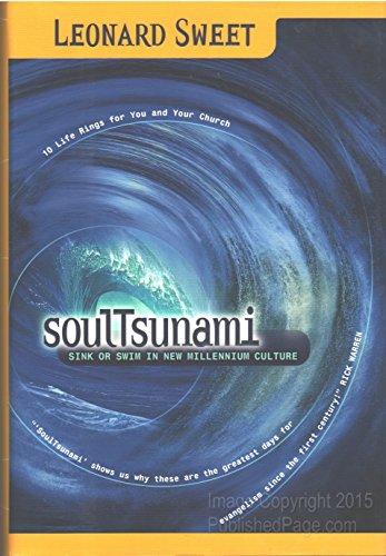 cover image SoulTsunami: Sink or Swim in New Millennium Culture