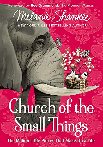 cover image Church of the Small Things: The Million Little Pieces That Make Up a Life