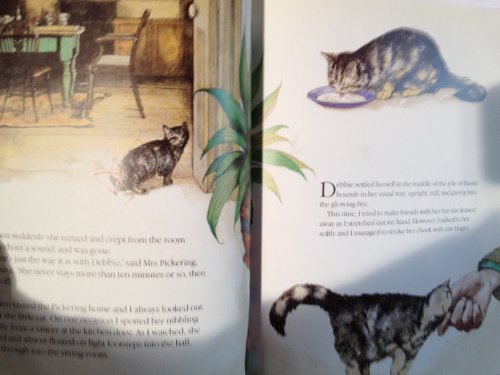 cover image The Christmas Day Kitten