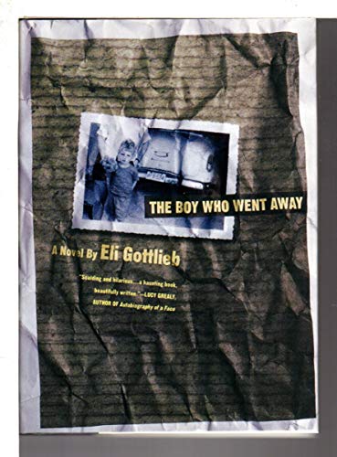 cover image The Boy Who Went Away