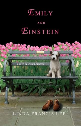 cover image Emily and Einstein