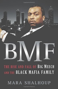 BMF: The Rise and Fall of Big Meech and the Black Mafia Family