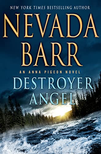 cover image Destroyer Angel