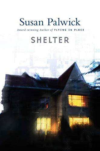 cover image Shelter