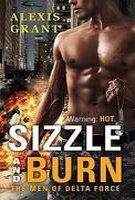 cover image Sizzle and Burn
