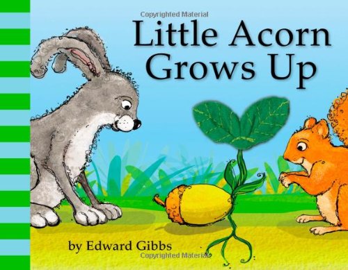 cover image Little Acorn Grows Up