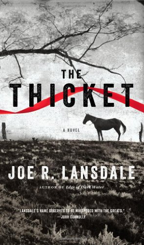 cover image The Thicket