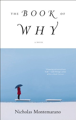 cover image The Book of Why