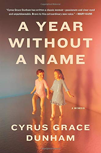 cover image A Year Without a Name