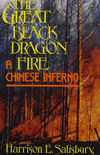 cover image The Great Black Dragon Fire: A Chinese Inferno
