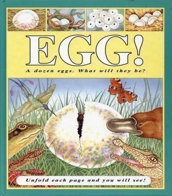 cover image Egg!: A Dozen Eggs, What Will They Be? Unfold Each Page and You Will See!